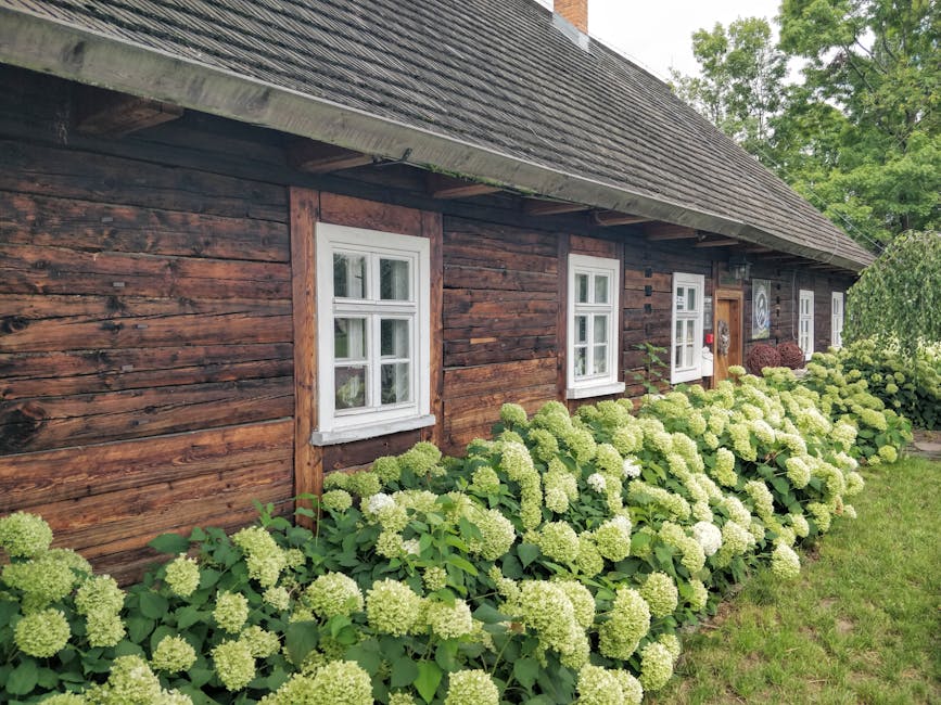 Charming wooden house surrounded by lush hydrangea bushes in a tranquil countryside setting.
